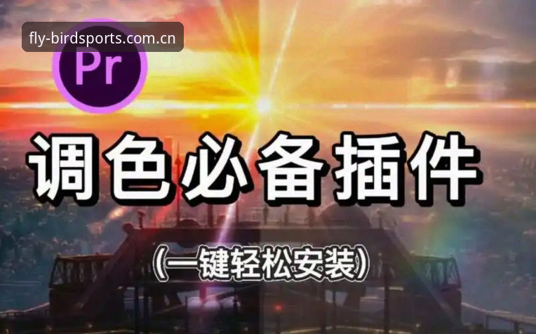 小鸟体育怎么下载 小鸟体育平台APP下载安装教程:小白也能轻松上手