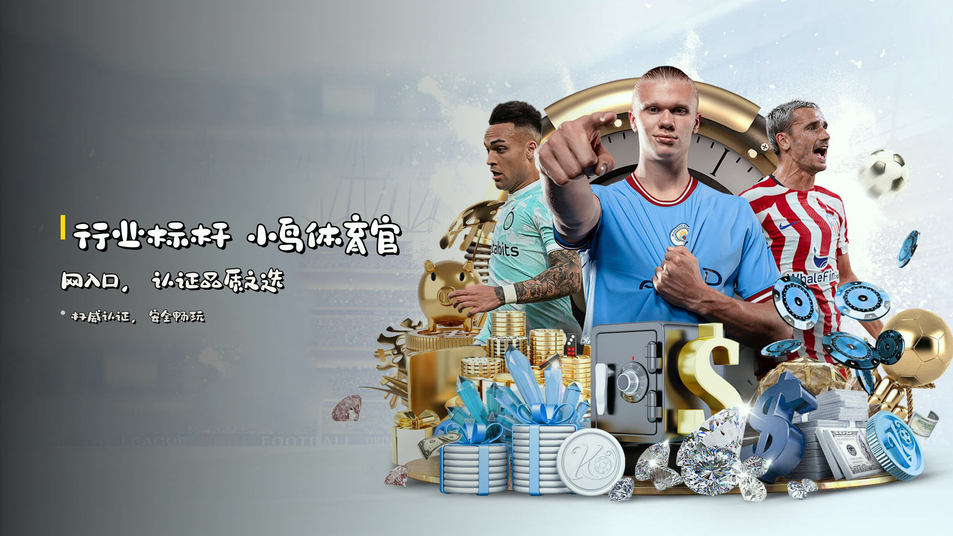 <strong>行业标杆</strong> 小鸟体育官网入口，认证品质之选